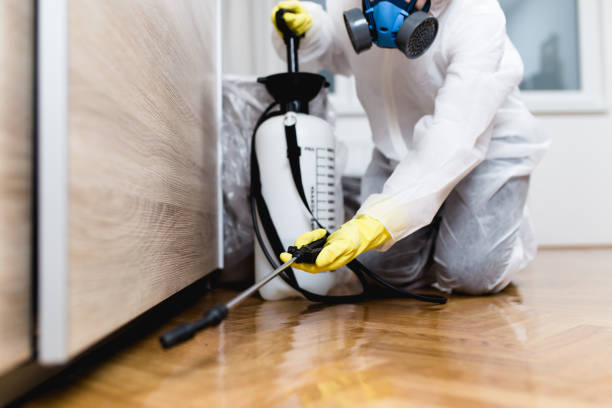 Best Wasp Removal Services  in Wolfe City, TX