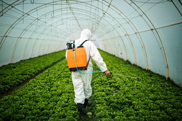 Best Affordable Pest Control Services  in Wolfe City, TX