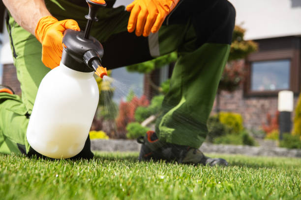 Best Pest Removal Services  in Wolfe City, TX