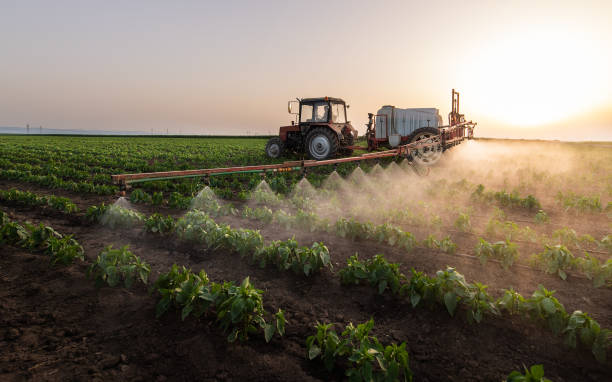 Best Pest Removal Services  in Wolfe City, TX