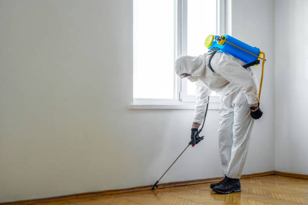 Best Ant Control Services  in Wolfe City, TX