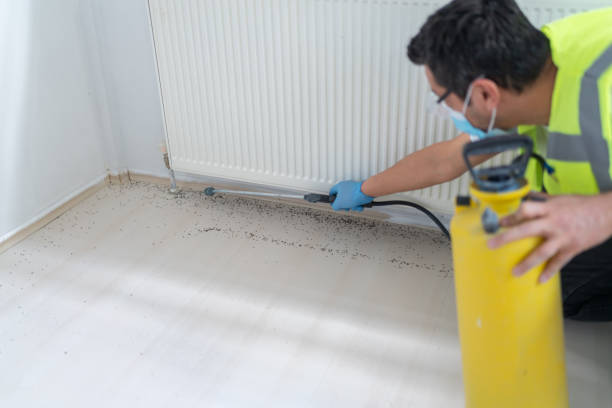 Best Commercial Pest Control Services  in Wolfe City, TX